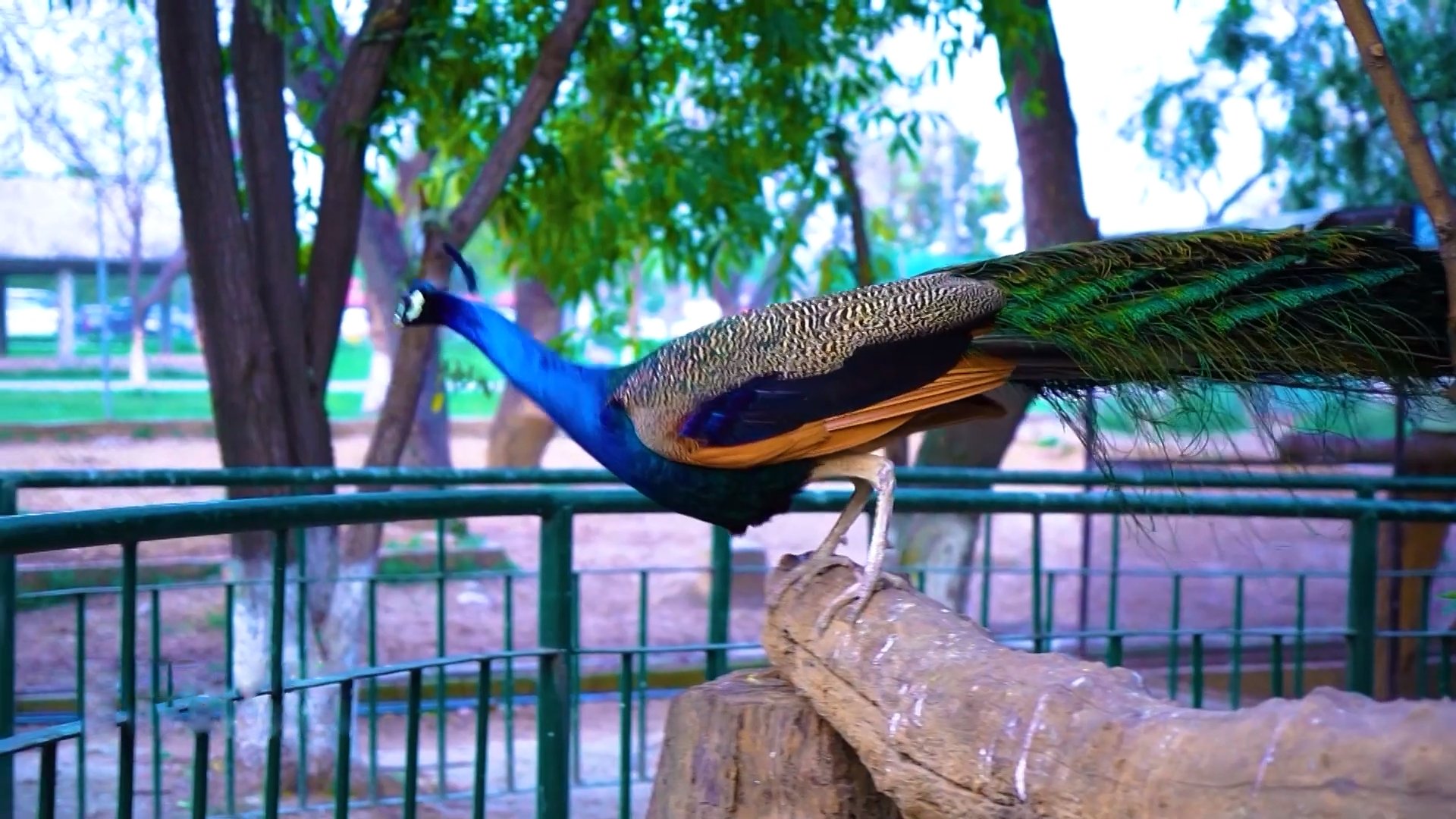 National Tourism Portal